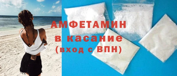 молекула духа Богданович