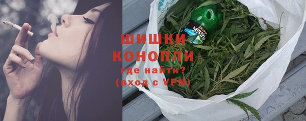 молекула духа Богданович