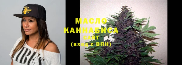 молекула духа Богданович