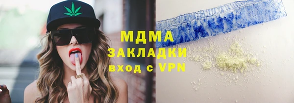 молекула духа Богданович