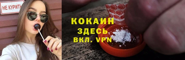 молекула духа Богданович