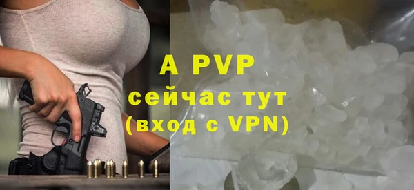 молекула духа Богданович