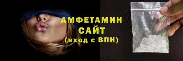 молекула духа Богданович