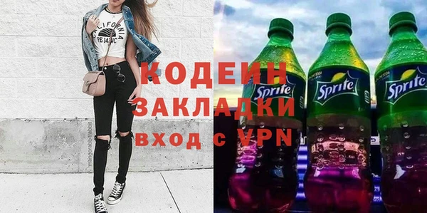 молекула духа Богданович