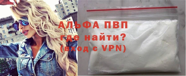 молекула духа Богданович