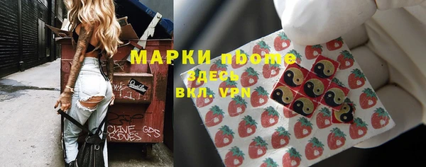 молекула духа Богданович
