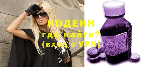 молекула духа Богданович