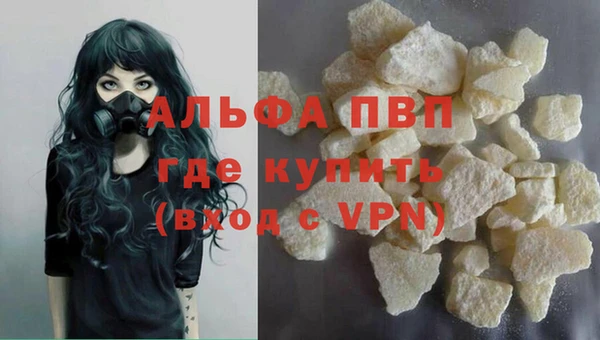 молекула духа Богданович