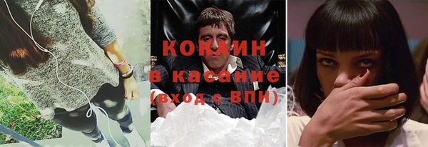 молекула духа Богданович